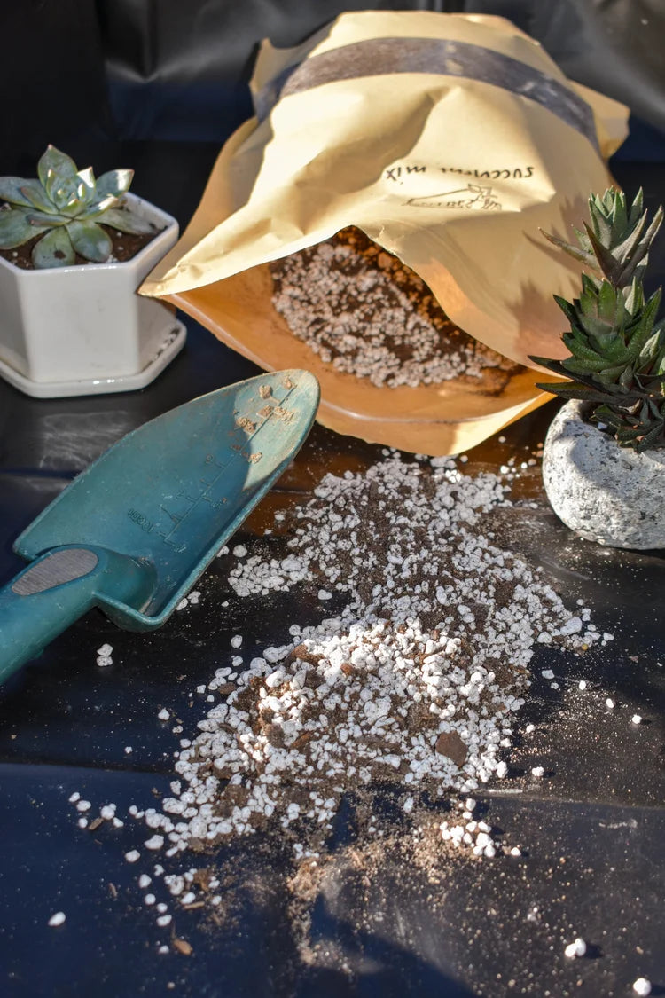 Succulent & Cacti Soil Mix